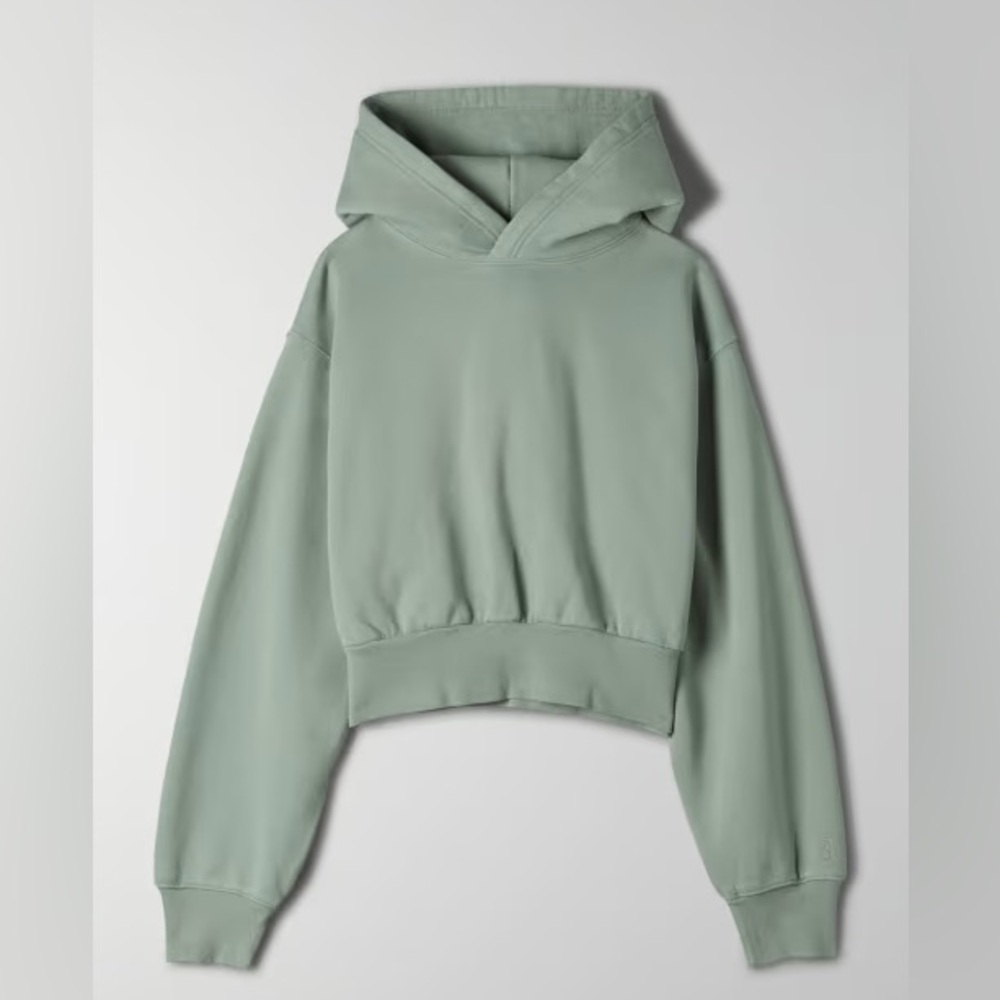 Aritzia Cozy Fleece Perfect Shrunken Hoodie
